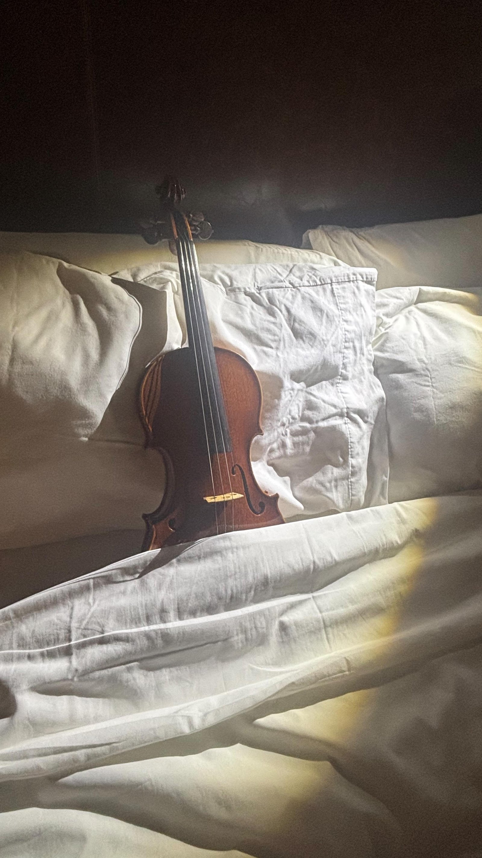 Strings need tuckies. 🥺🎻

#violin #violinist #musicianhumor #music #reels